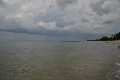 DSC_5427 (Large).JPG